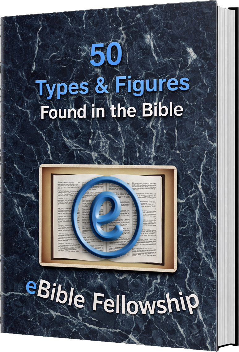 50 Types & Figures Cover